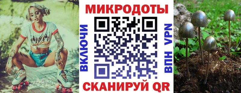 Псилоцибиновые грибы мухоморы  МЕГА сайт  Ворсма  где продают наркотики 